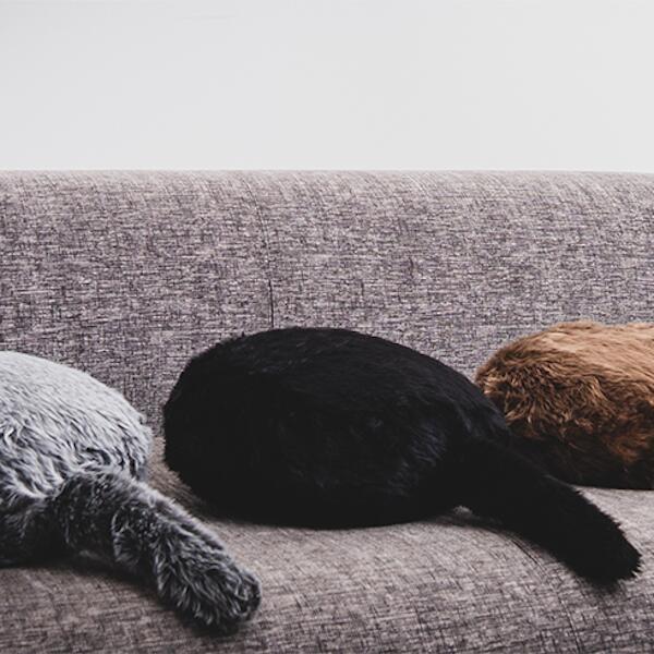 しっぽクッションQoobo（クーボ）クッション 癒やし  癒やしのパートナー 3色　抱き心地 送料無料 |  | 13