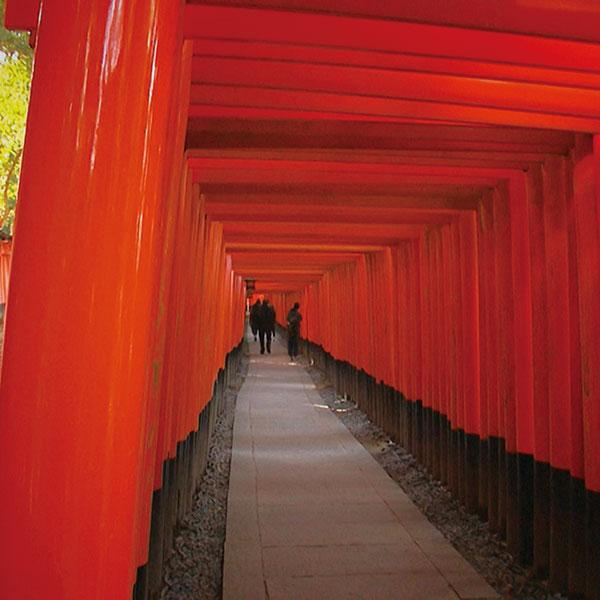 京都探訪 DVD全10巻 |  | 05