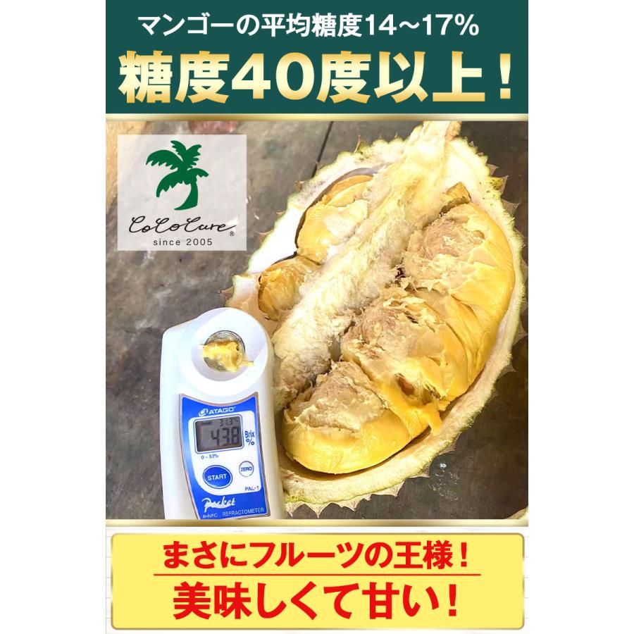 入荷しました】フローズンドリアン 500g 3個セット セット 冷凍 真空 