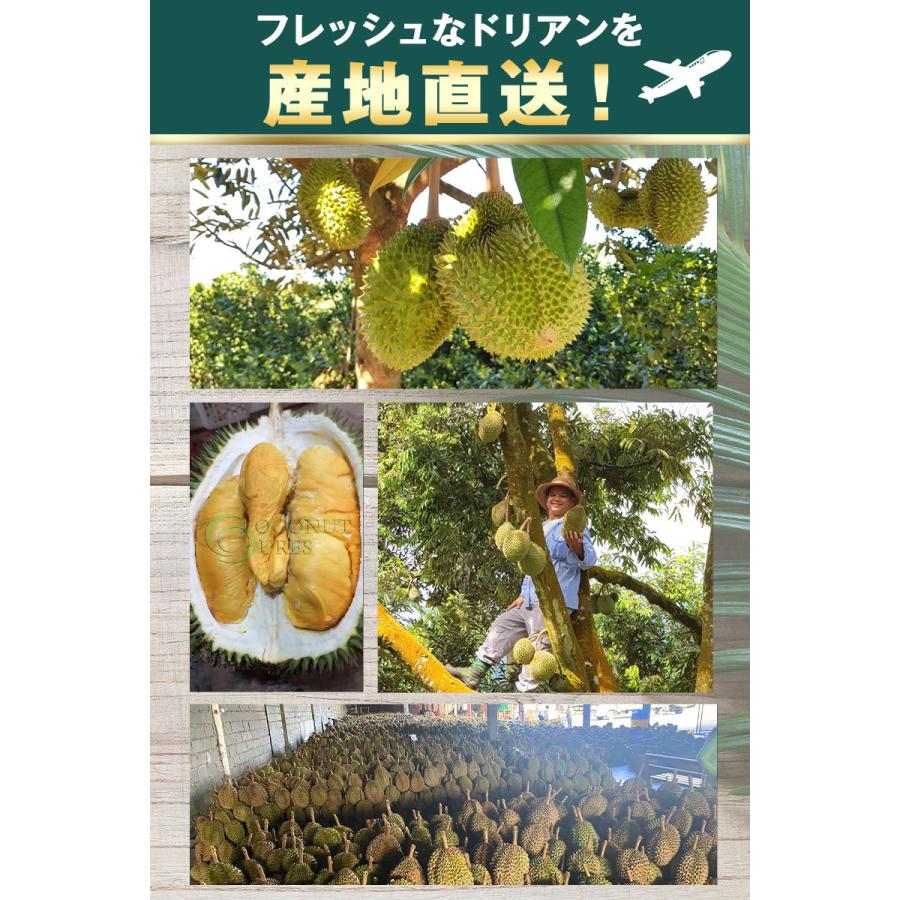 今日発送❗️ 冷凍ドリアン(500gx24)12KG すぐに発送❗️冷凍ドリアン(500gx24個) 【公式通販】
