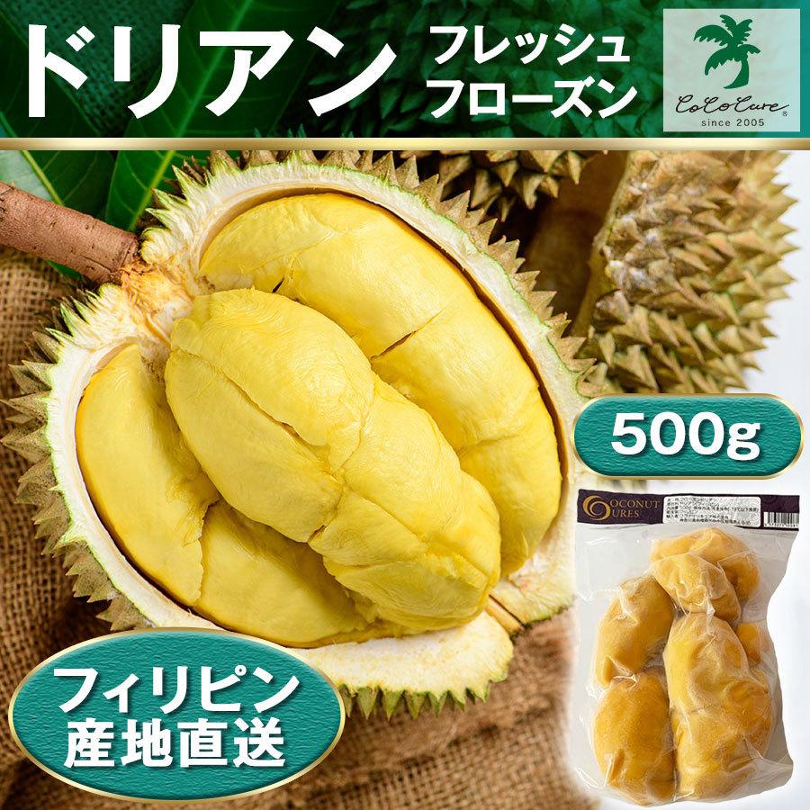 入荷しました】フローズンドリアン 500g 冷凍 真空パック 産地直送 