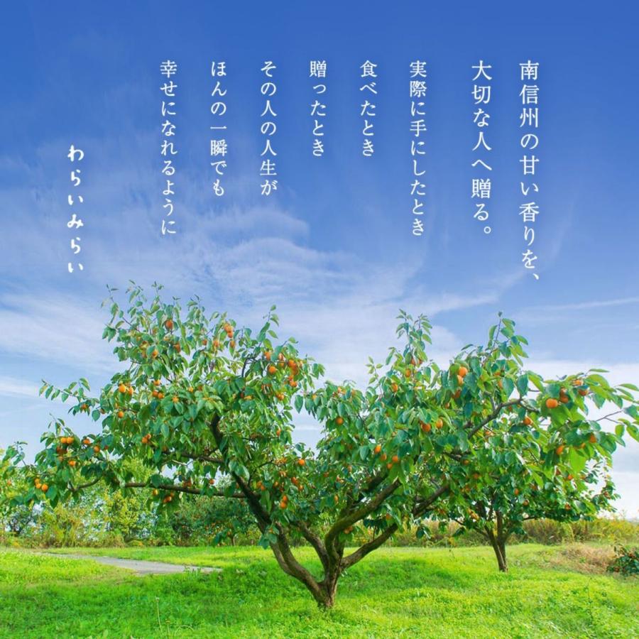 すぐ配送 市田柿 柿 干し柿 ドライフルーツ 送料無料 長野 産地直送 1kg 干柿 ほしがき ほし柿 自宅用 爆買 | わらいみらい | 03