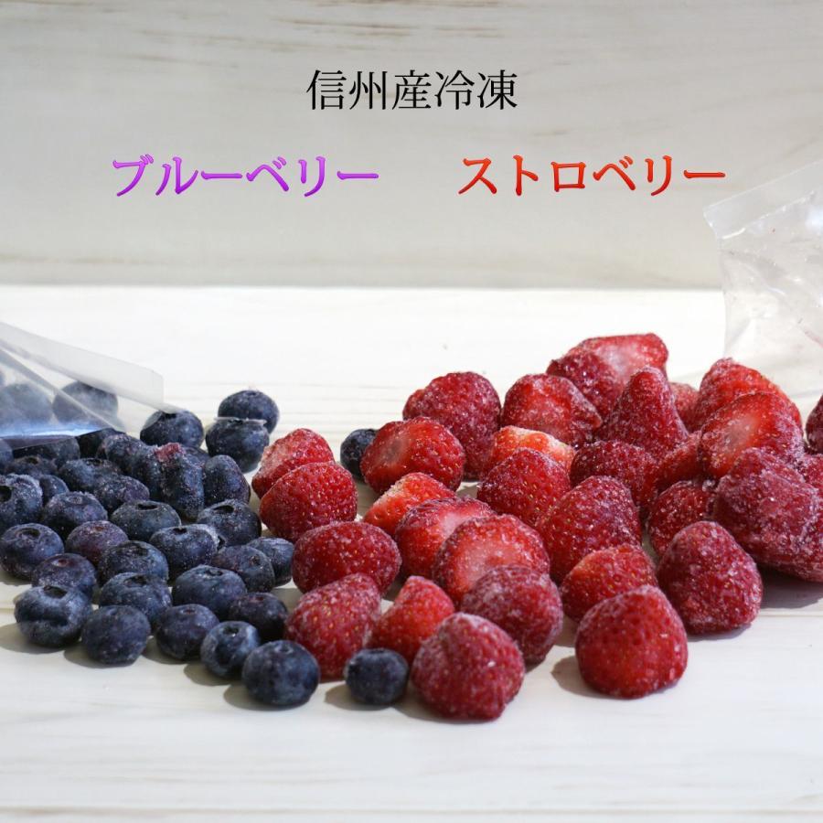 わらいみらい ブルーベリー いちご ストロベリー 冷凍 国産 フルーツ
