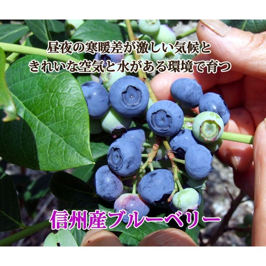 わらいみらい フルーツ ブルーベリー 国産 長野県産 冷凍