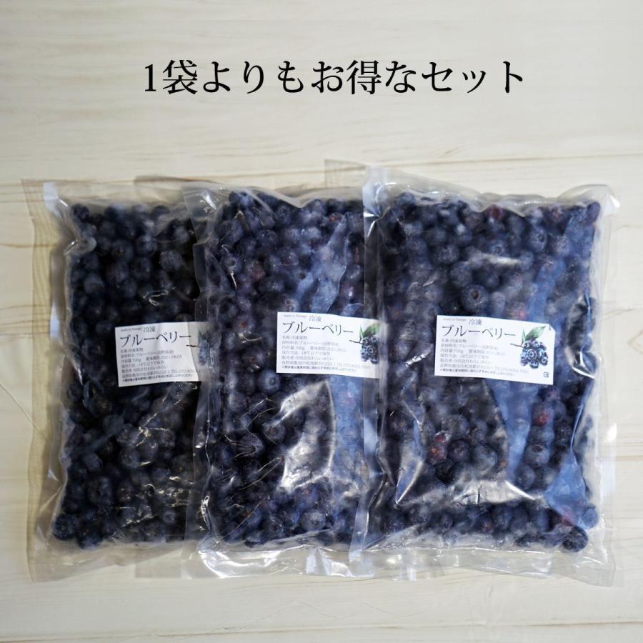 わらいみらい フルーツ ブルーベリー 国産 長野県産 冷凍