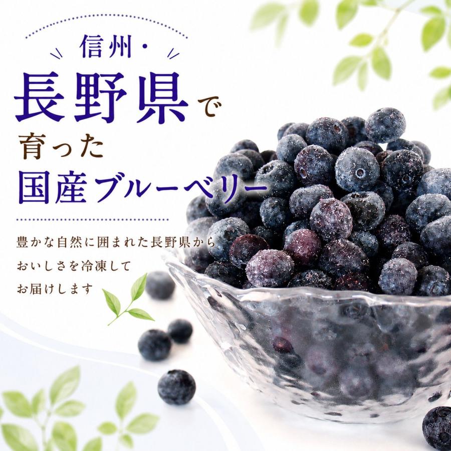 み 完熟冷凍ブルーベリー【大粒】6kg 冷凍ブルーベリー1.5㎏ 『大粒