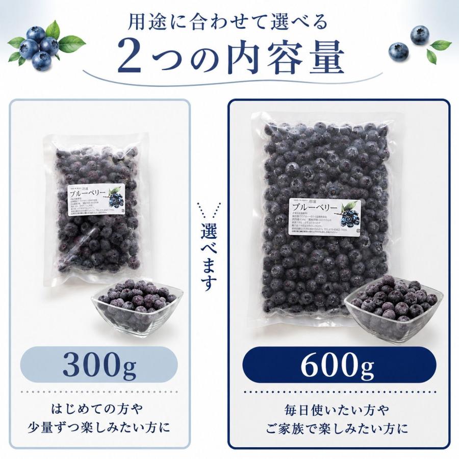 わらいみらい フルーツ ブルーベリー 国産 長野県 冷凍 フルーツ