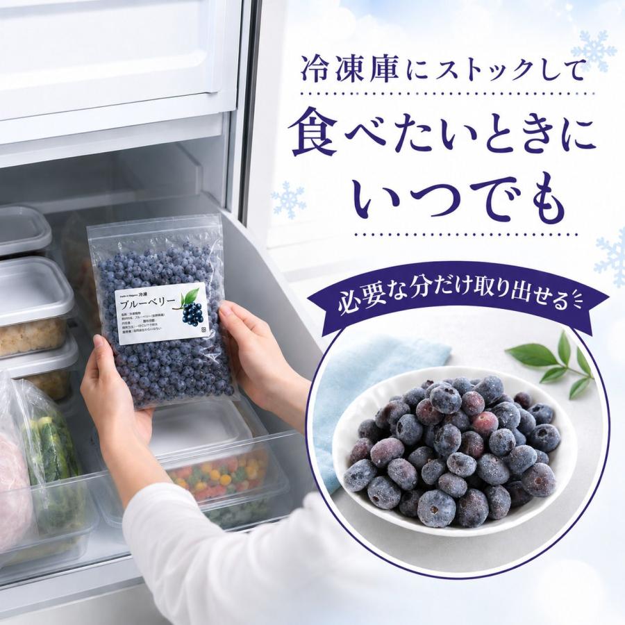 わらいみらい フルーツ ブルーベリー 国産 長野県 冷凍 フルーツ
