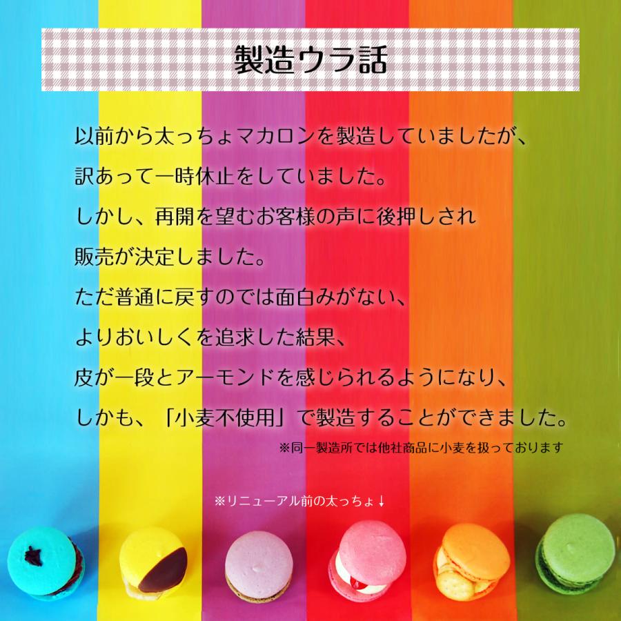 わらいみらい マカロン トゥンカロン 韓国マカ ロン 太っちょマカロン