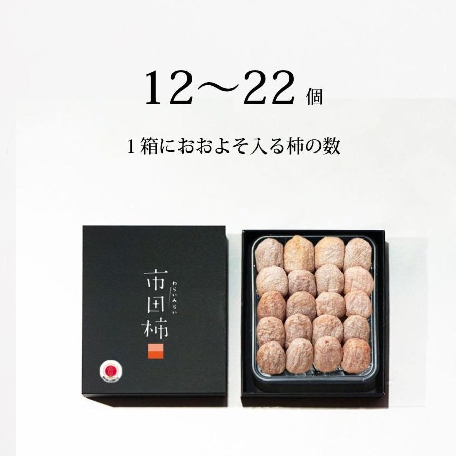 市田柿 干し柿 ドライフルーツ 和菓子 スイーツ 化粧箱 贈答用 長野 産地直送 お祝い 母の日 早割 | わらいみらい | 10