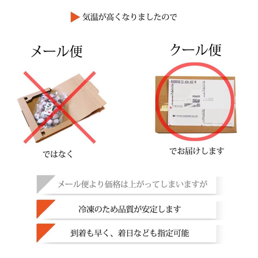 干し柿 市田柿 ドライフルーツ 送料無料 500g 自宅用 家庭用 干柿 ほし柿 クール便 2袋セット｜cocodani｜07