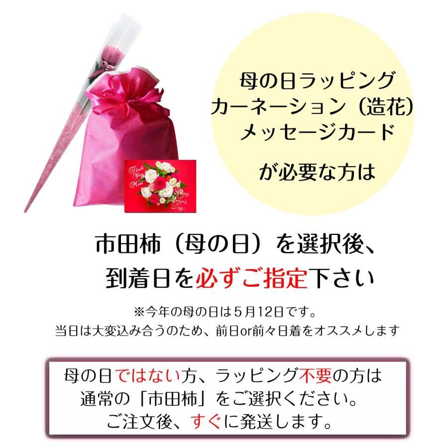 母の日 干し柿 花以外 市田柿 カーネーション メッセージカード付 干柿 産地直送 送料無料 800g｜cocodani｜14