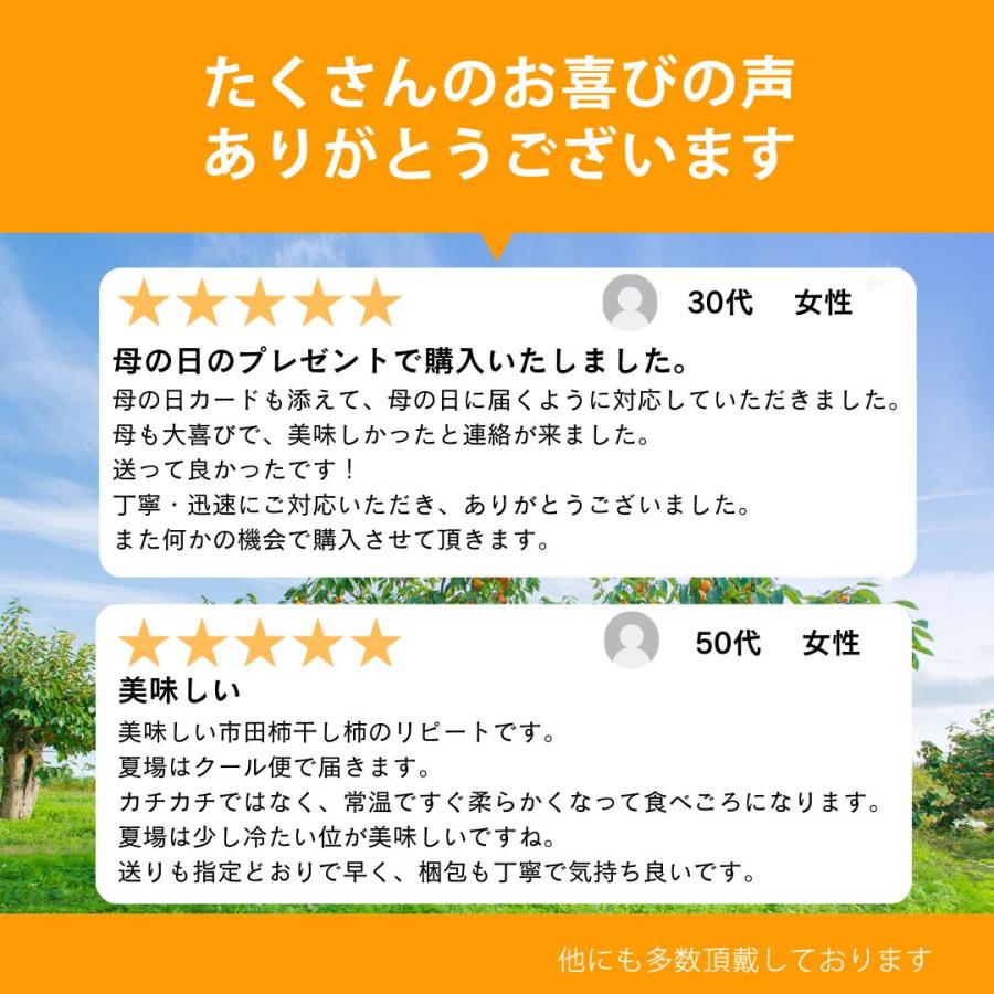 干し柿 市田柿 ドライフルーツ 送料無料 500g 自宅用 家庭用 干柿 ほし柿 | わらいみらい | 11