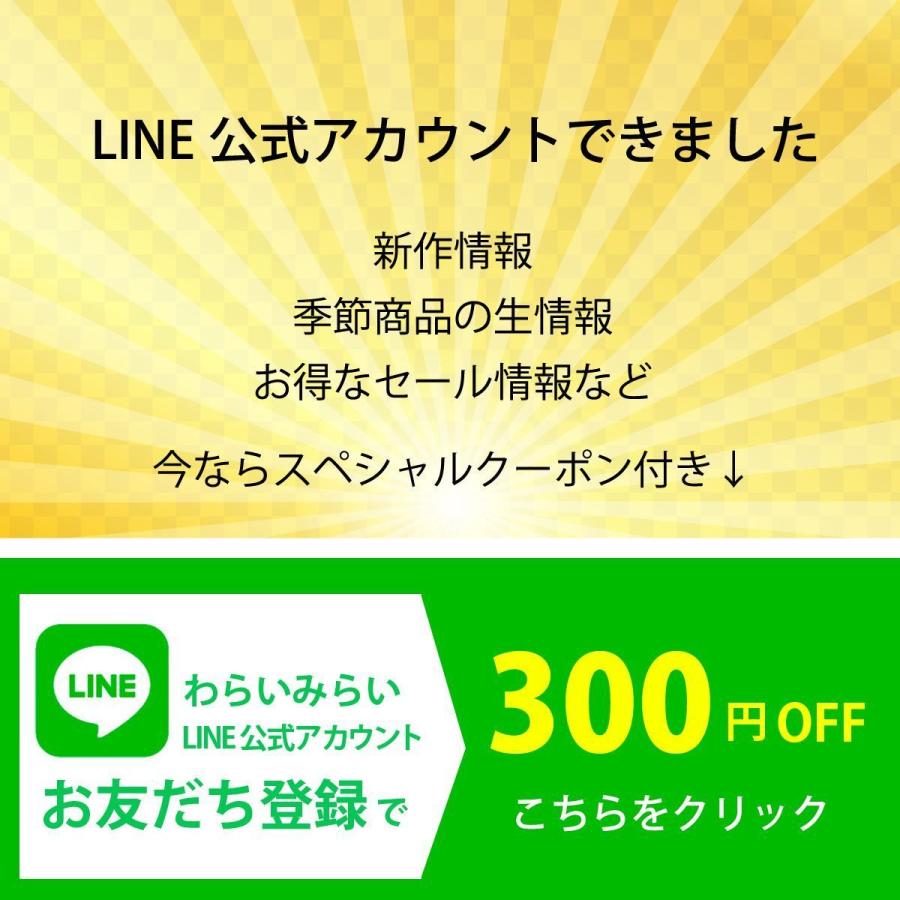 干し柿 市田柿 ドライフルーツ 送料無料 500g 自宅用 家庭用 干柿 ほし柿 | わらいみらい | 17
