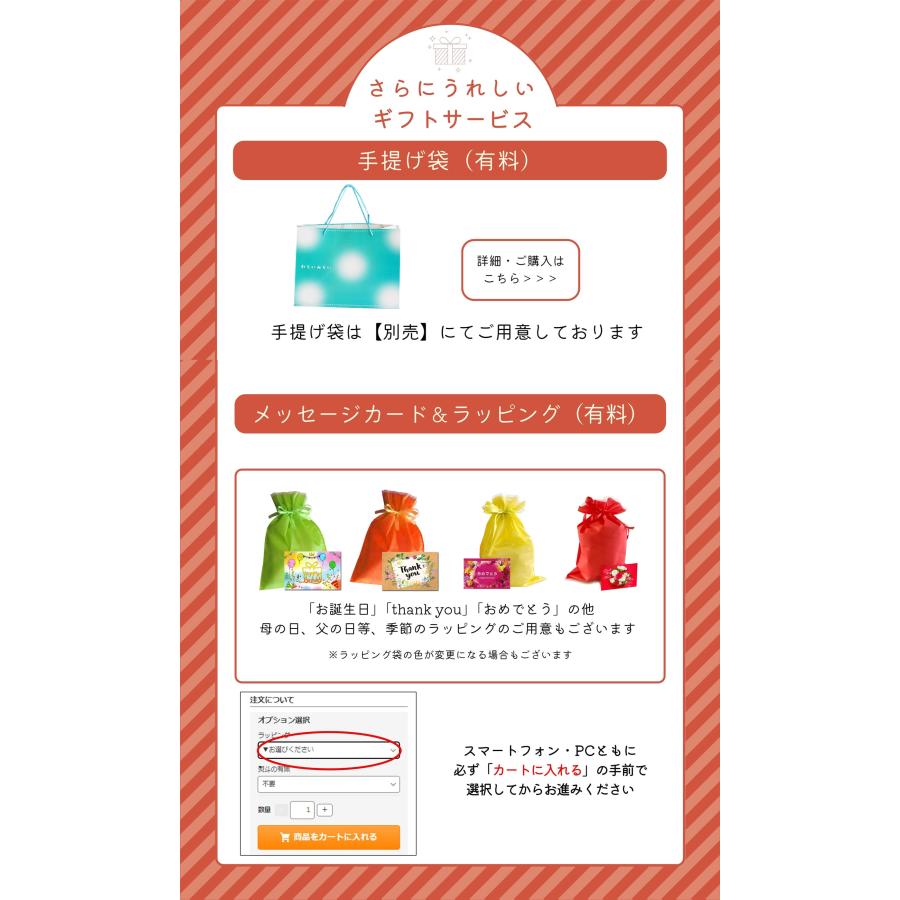 干し柿 市田柿 ドライフルーツ 送料無料 500g 自宅用 家庭用 干柿 ほし柿 | わらいみらい | 13