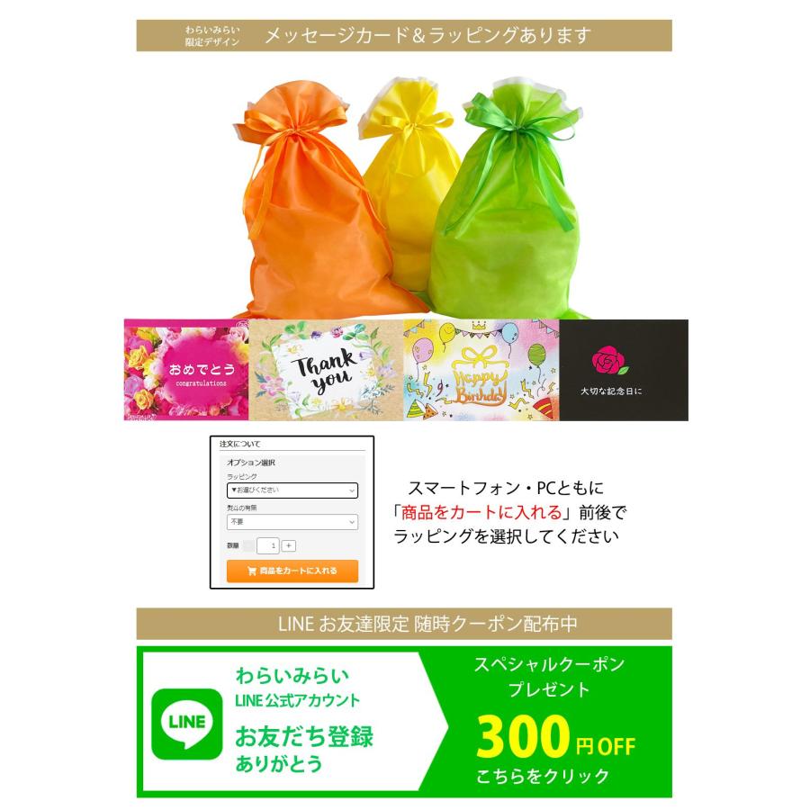 チャスピー TDK えいごまめ博士ワードブック ビデオ・ワークブック