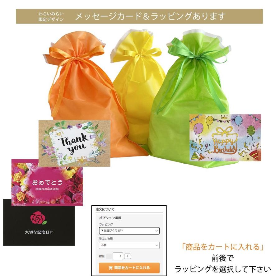 超激安 3-6866-01薬品識別安全洗浄瓶アセトン250ml as1-3-6866-01 未来工業 Eモール付属品 コーナージョイント 2号 チョコレート 10個 EMC-2T MIRAI