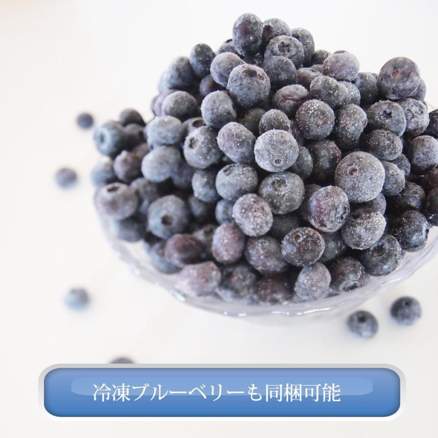フルーツ いちご 冷凍 国産 長野県 たっぷり 大容量 700g｜cocodani｜10