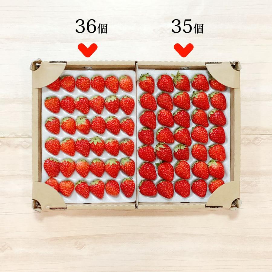わらいみらい 9/18 出荷限定 いちご 夏いちご 長野県 サマープリンセス