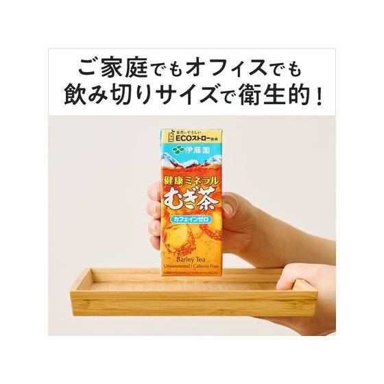 伊藤園 健康ミネラルむぎ茶 250ml 48本｜cocodecow｜05