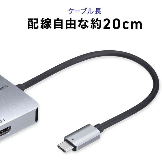 SANWA SUPPLY（サンワサプライ） 【お取り寄せ】サンワサプライ USB