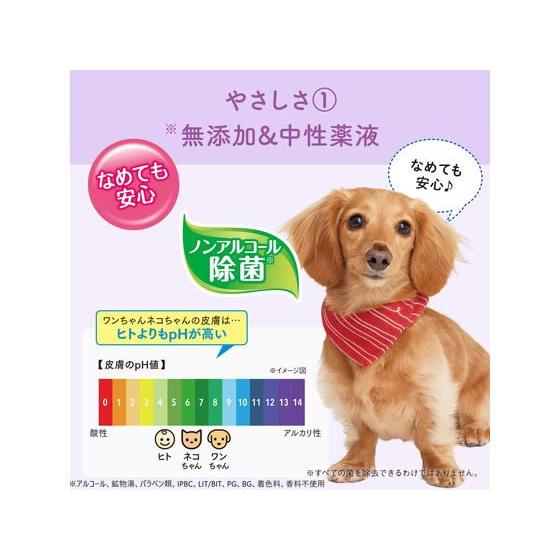 【お取り寄せ】大王製紙 肌にやさしいウエットティシュー ノンアルコール除菌60枚×3P 共通グッズ ペット お散歩 生活グッズ ペットハウス |  | 01