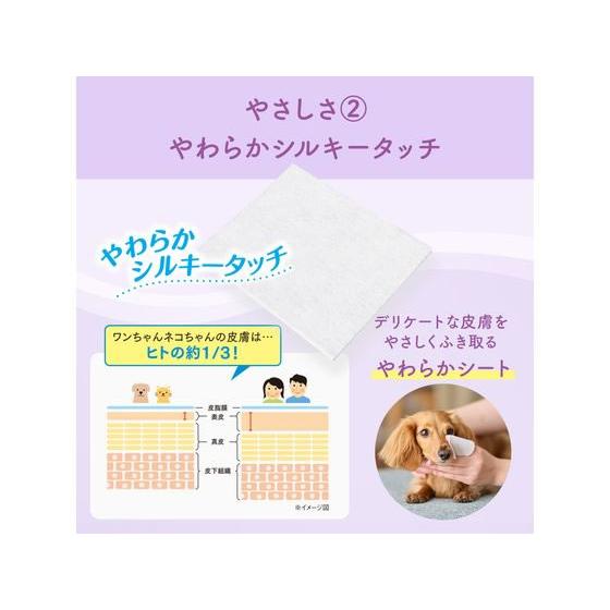 【お取り寄せ】大王製紙 肌にやさしいウエットティシュー ノンアルコール除菌60枚×3P 共通グッズ ペット お散歩 生活グッズ ペットハウス |  | 02