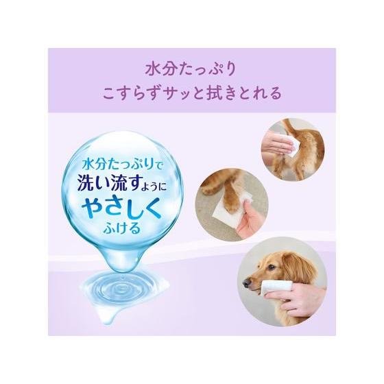 【お取り寄せ】大王製紙 肌にやさしいウエットティシュー ノンアルコール除菌60枚×3P 共通グッズ ペット お散歩 生活グッズ ペットハウス |  | 03