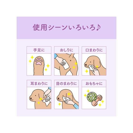 【お取り寄せ】大王製紙 肌にやさしいウエットティシュー ノンアルコール除菌60枚×3P 共通グッズ ペット お散歩 生活グッズ ペットハウス |  | 04
