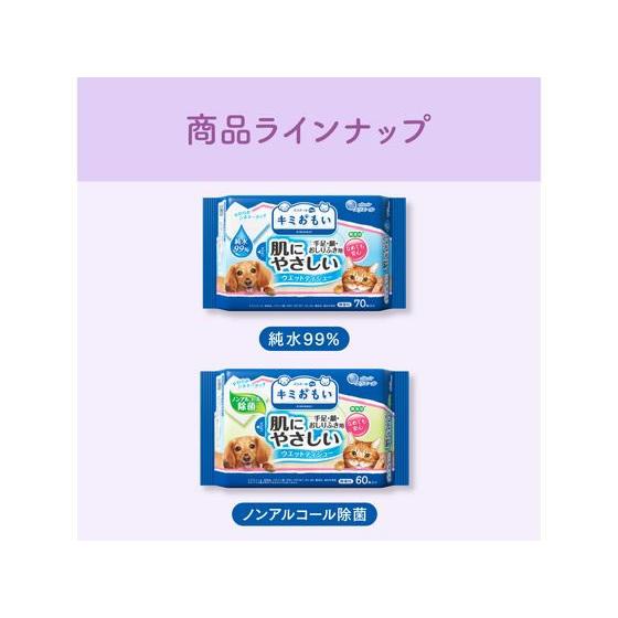 【お取り寄せ】大王製紙 肌にやさしいウエットティシュー ノンアルコール除菌60枚×3P 共通グッズ ペット お散歩 生活グッズ ペットハウス |  | 05