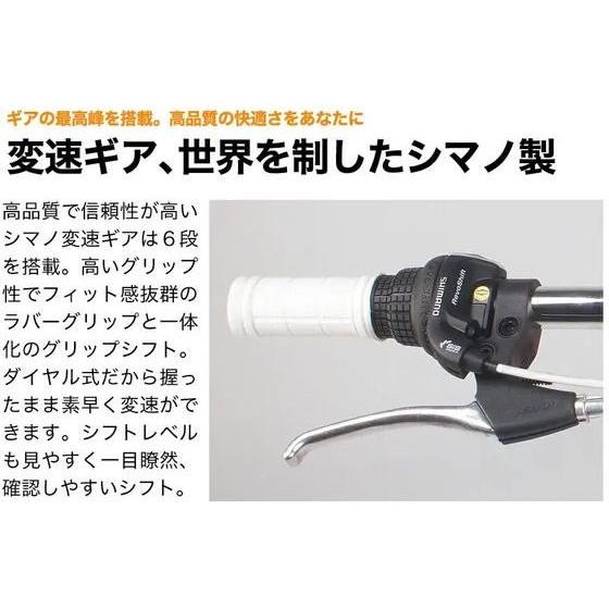 21Technology 【メーカー直送】21Technology クロスバイク CL266