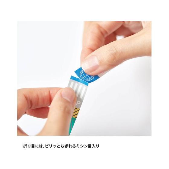 キングジム キッタ ジャバラ(フウケイ) KITZ001 デコレーション用マスキングテープ シールタイプ デコレーショングッズ |  | 05