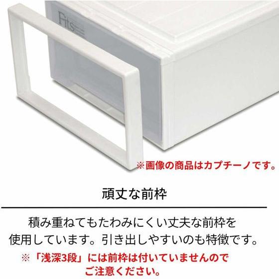 天馬 フィッツケース クローゼット ワイド 奥行53cm ホワイト 2個 クローゼット 衣料収納｜cocodecow｜02