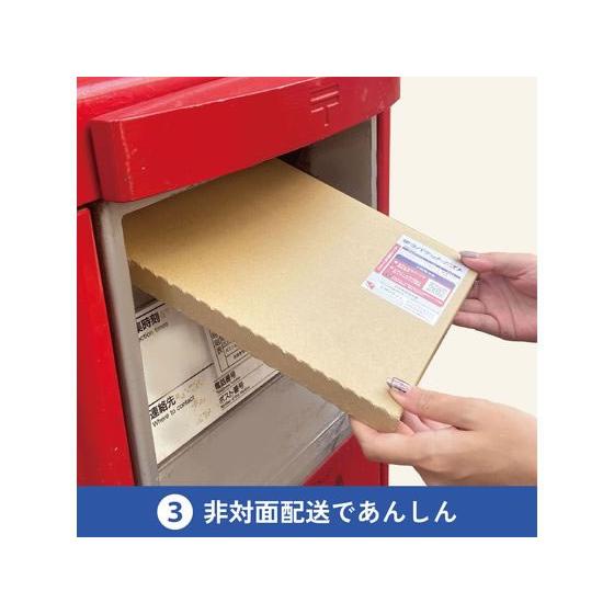 レターパック 1\120当日発送　シールエクステ　選べる！10枚 レターパック対応/お届け先ラベル - EDT-LPAD620