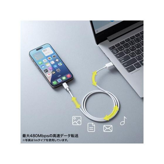 【お取り寄せ】サンワサプライ USB 2.0 Type-Cケーブル(3m・ホワイト) KU-CA30W ＵＳＢケーブル C to A ケーブル 電源タップ 配線パーツ 家電 | SANWA SUPPLY | 02