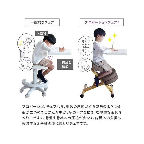 宮武製作所 【メーカー直送】宮武製作所 プロポーションチェア