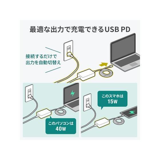 【お取り寄せ】サンワサプライ USBPD対応 AC充電器 PD100W ACA-PD94BK アクセサリー ＰＣアクセサリー ＰＣ｜cocodecow｜09