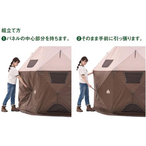 【お取り寄せ】ロゴス どんぐり PANELドーム 290-BC 71203003 どんぐり PANELドーム 290-BC 71203003 【お取り寄せ】ロゴス