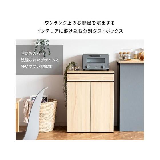 【メーカー直送】宮武製作所 分別ドロワーダストボックス NotTブラウン DB-F2200【代引不可】【お客様組立】デザインタイプ ゴミ箱 ゴミ袋 清掃_1