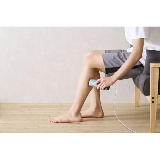 IRIS OHYAMA（アイリスオーヤマ） 【お取り寄せ】アイリスオーヤマ