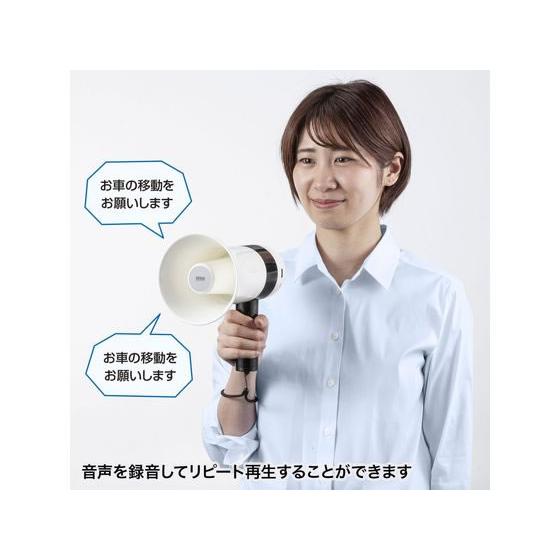 SANWA SUPPLY（サンワサプライ） 【お取り寄せ】サンワサプライ ハンド