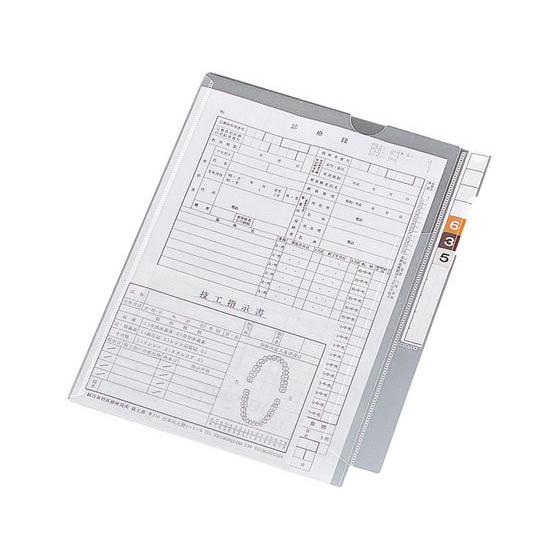 リヒトラブ カルテフォルダー フラップ付シングル縦型A4 100枚 HK2001 インデックス付 Ａ４ クリアホルダー ファイル