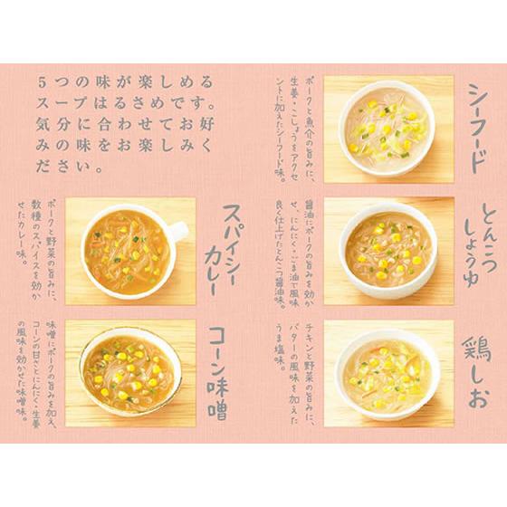 ダイショー バラエティ広がる5つの味のスープはるさめ 10食 スープ春雨