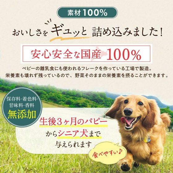 【お取り寄せ】ペットプロジャパン HappyDays 大地からの贈り物 素材100%野菜フレーク じゃがいも 35g おやつ 犬 ペット ドッグフード | PetPro | 04