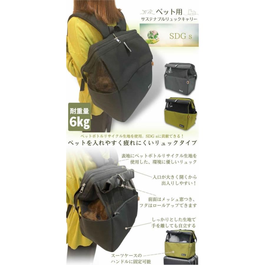PetPro（ペットプロ） 【お取り寄せ】ペットプロジャパン HappyDays