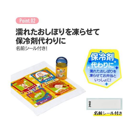 スケーター 【お取り寄せ】スケーター 抗菌ケース付おしぼり ピクミン