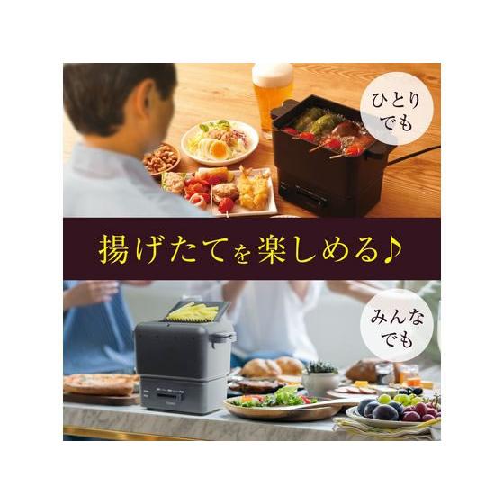 THANKO 【お取り寄せ】THANKO コンパクトフライヤー カラリ2 KRAR25SBK