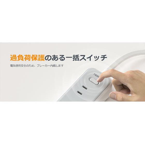 TESSAN 【お取り寄せ】TESSAN コード式12ポート電源タップ マグネット