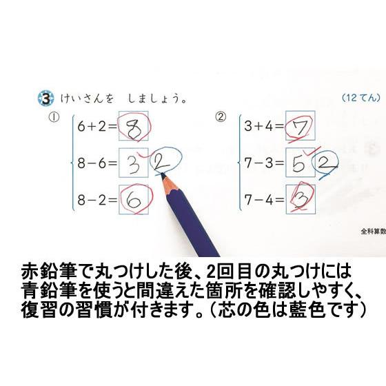 トンボ鉛筆 ippo!丸つけ用青えんぴつ ダース箱 CV-KIP｜cocodecow｜03