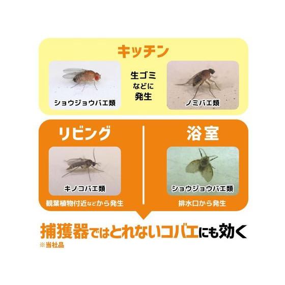 金鳥 コバエムエンダー 80プッシュ スプレータイプ 殺虫剤 殺虫 防虫剤 |  | 03